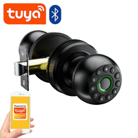 Smart Tuya Bluetooth Spherical Lock Biometric Fingerprint Password APP Unlock Door Lock for Wooden Metal Door Easy To Install