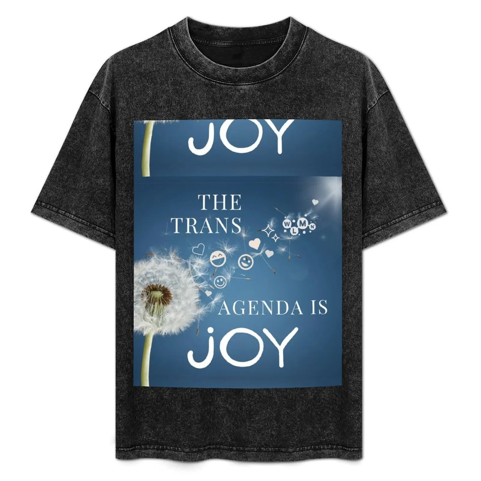 

The Trans Agenda Is Joy T-Shirt Plus Size Simple Casual Top