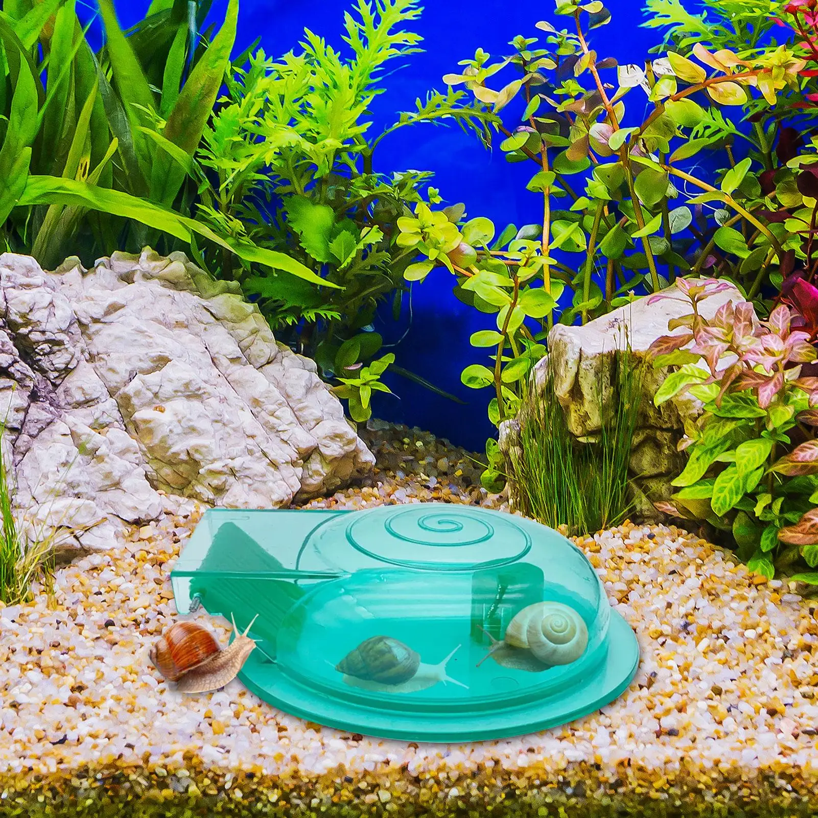 Schneckenfallen für Süßwasser-Aquarien, Schneckenfänger, Aquarium-Reinigungsmittel, Planaria-Fangbox für Haushaltsfische