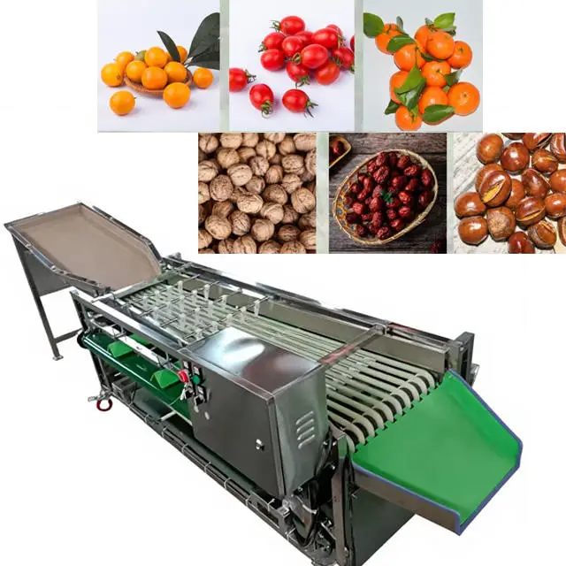 Electric Multifunctional Fruit Vegetable Grading & Grinding Motor 304 Stainless Steel 2000kg/h Capacity Industrial Use