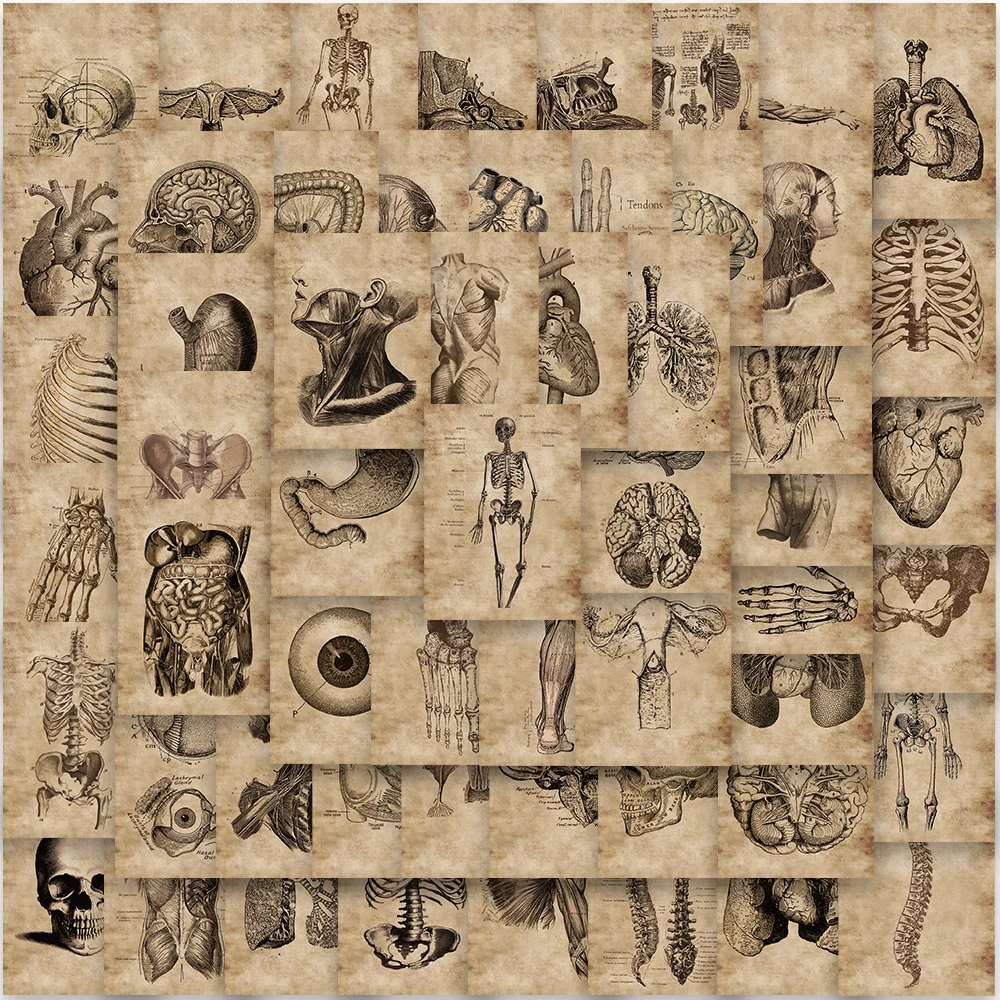 56PCS Anatomie Menschliches Skelett Aufkleber Nette Cartoon Gepäck Laptop Harajuku Hause Dekoration Telefon Graffiti Schreibwaren Aufkleber
