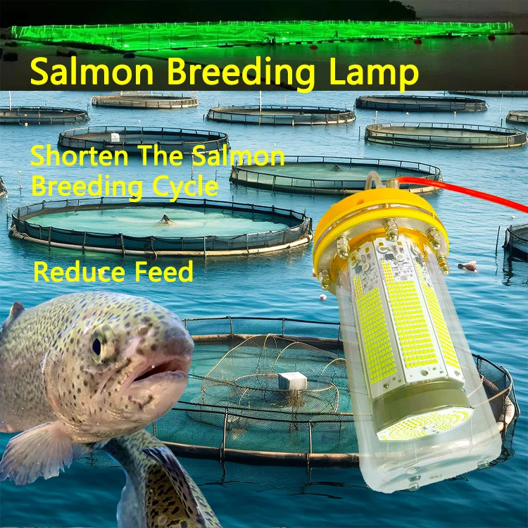 الأخضر 1100 واط 8 الجانب توهج زائد أسفل توهج قوي غاطسة Carpfishing Led قطرة عميقة تحت الماء مصباح الصيد