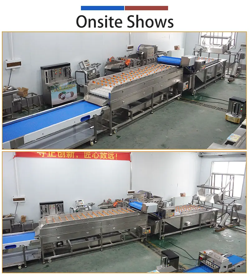 Commercial Fruit Roller Brush Washer Machine 1-3T/H Melon Pineapple Apple Mango Orange Washing Line for Factory Use