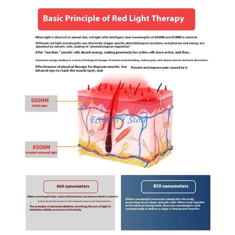 وسادة العلاج بالضوء للحصان قابلة للتنفس G6DE من أجل التدريب والتعافي من آلام الظهر #2