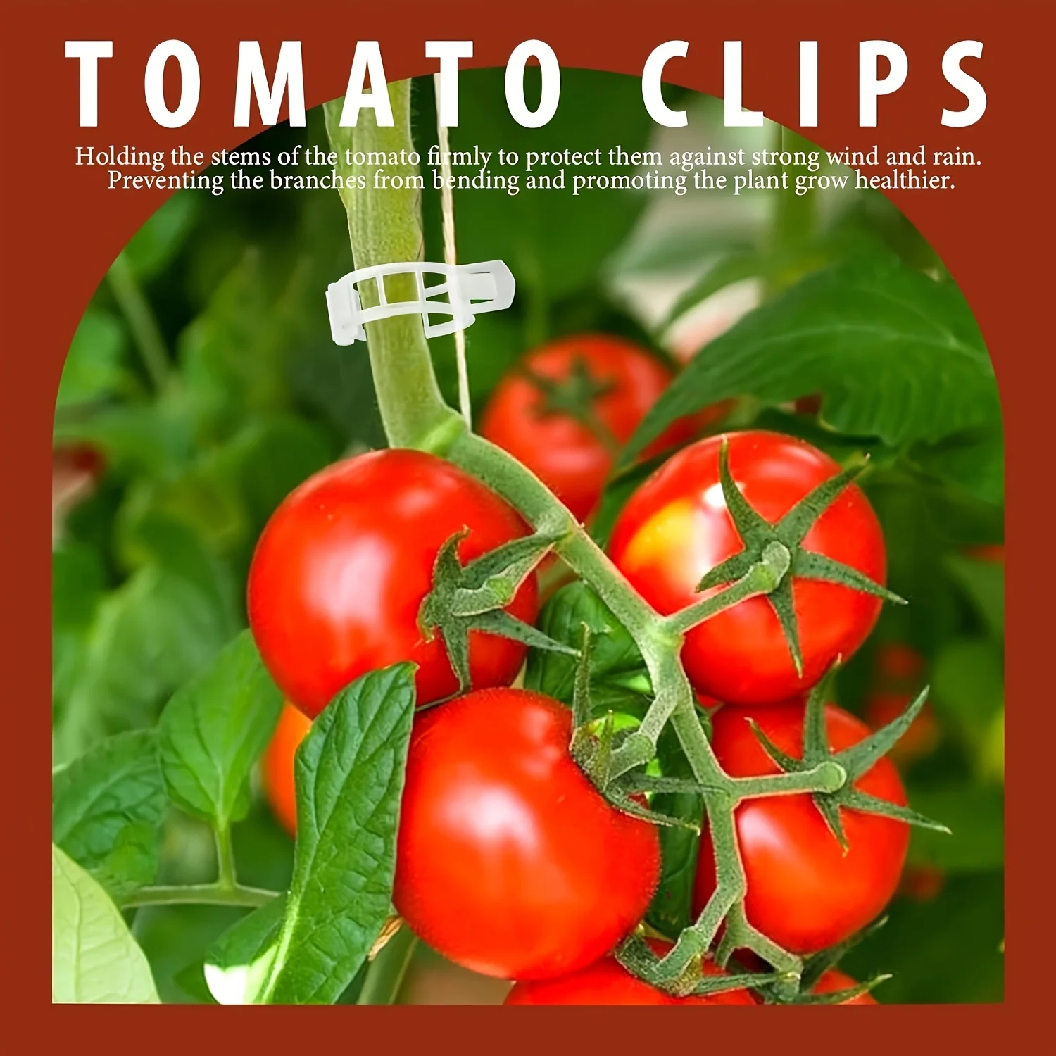 250pcs Climbing Tomato Cucumber Binding Clips Plant Anti-Tilt Support Clips Green Plant Fixers Gardening Accessories