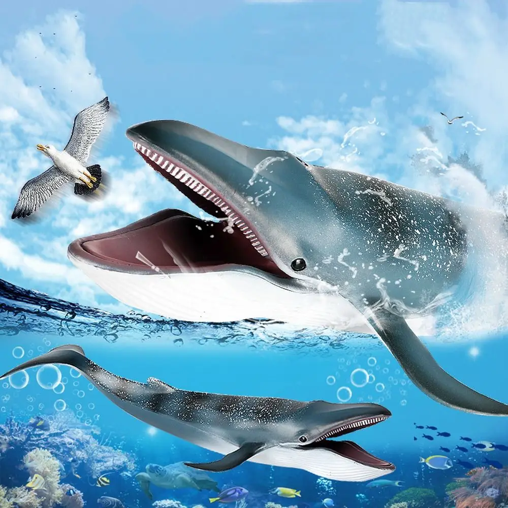 Large Blue Whale Action Figure Toy Realistic Plastic Big Shark Fish Model Handmade Wild Whale Desktop Ornament