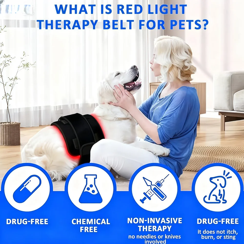 Veterinary Grade Cold Laser Therapy Device, Infrared Red Light Therapy Belt for Dog Joint and Muscle Pain Relief