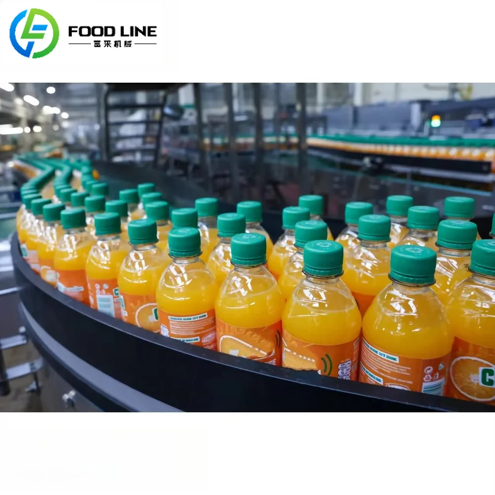 FOODLINE Multi-function Fruit Juice Production Line Wash Crush Sterilize Filter All In One Overheat Protection Gear