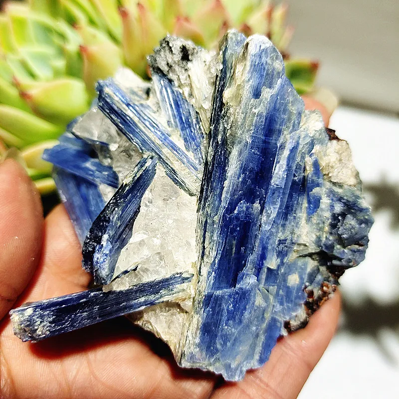 

Natural Mineral Stone Kyanite Crystal Cluster Room Decoration Mine Standard Miner Specimen Open home decorated Healing Crystals