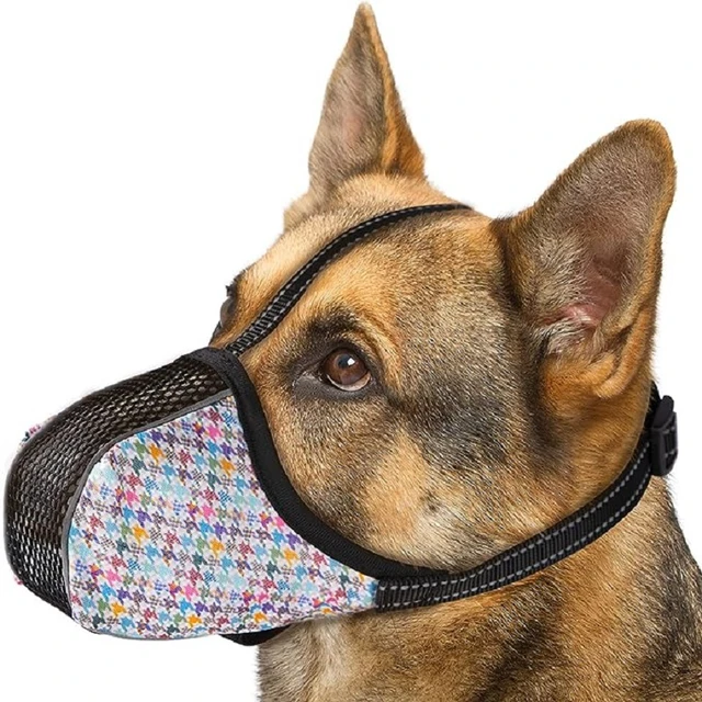 Skelet s fashion dog muzzle