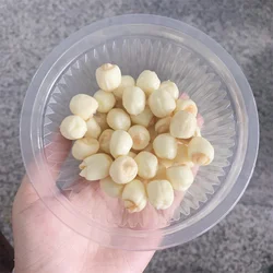 50g/100g Water Lily  Lotus Nuts Traditional Snack Lotus Seeds Shooting Props Slime Accessories PVC Material Simulated Food Mode