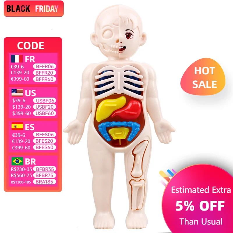 Kid Montessori 3D Puzzle Human Body Anatomy Model Educational Learning Organ Assembled Toy Body Teaching Tool For Children