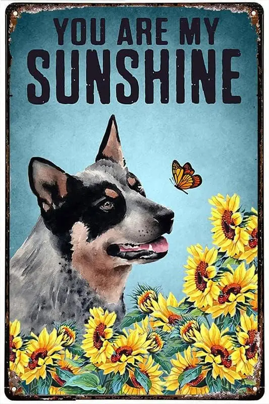 1p,Vintage Style Metal Tin Sign Blue Heeler Dog Sunflower You Are My Sunshine Poster Home Wall Art Decoration Retro Metal Tin Si