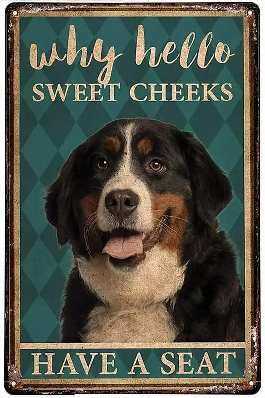 Vintage Style Metal Tin Sign Bernese Mountain Dog Why Hello Sweet Cheeks Have A Seat Poster Wrapped Home Wall Art Decoratio sign