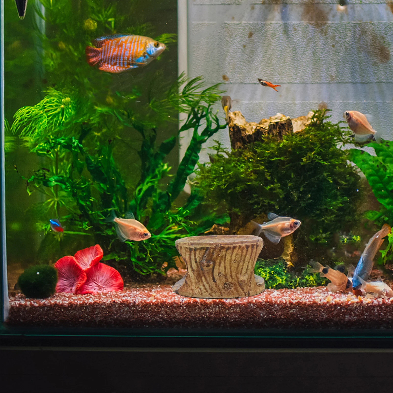 Gua Keramik untuk Akuarium, Tempat Persembunyian Ikan, Udang, Betta, Bentuk Kerucut, Dekorasi Terowongan, Habitat, Rumah Udang