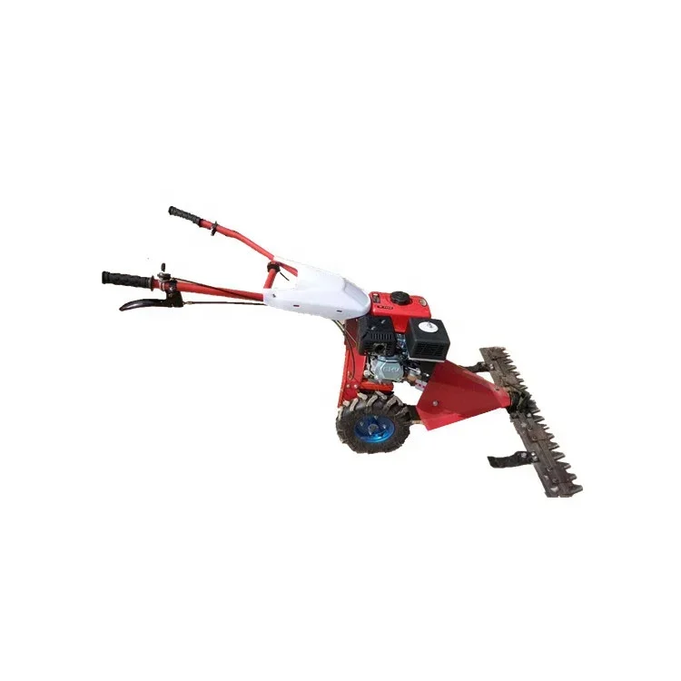 Tondeuse à Gazon Modèle 170F pour Verger, Diesel, Enge, Jane, Récolte Agricole