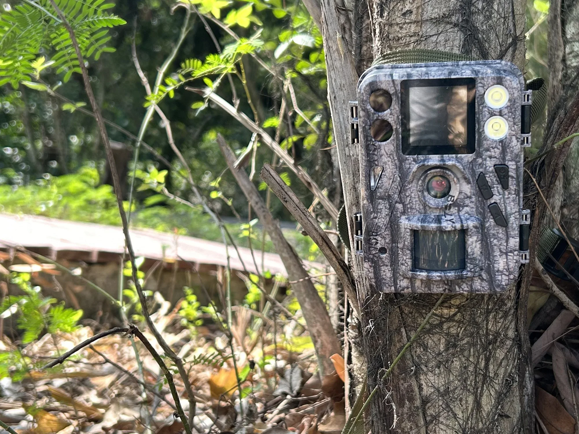 BolyGuard SG520-Plus Wildkamera-4K/48MP Nachtsicht-Wildtier-Jagdkamera mit 940nm Schwarz-IR & Weiß-LED, Solar-Bereit – Detail 11