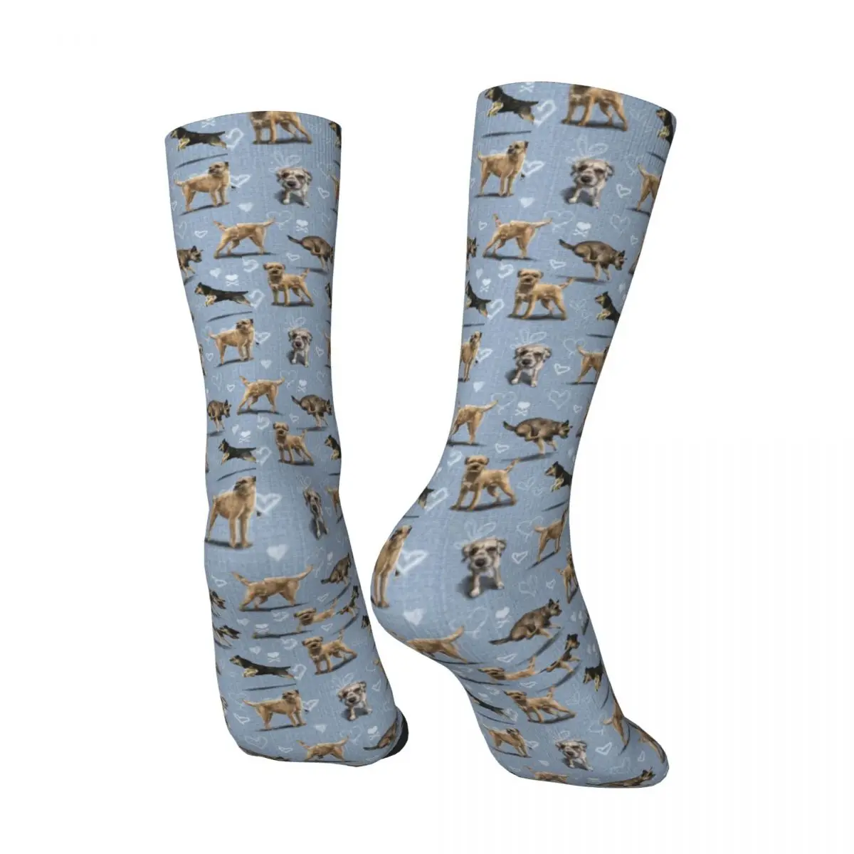 Border Terrier Socks Autumn Dog Breed Stockings Elegant Couple High Quality Socks Graphic Skateboard Anti Skid Socks