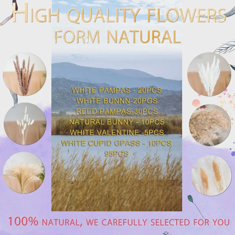 

Pampas Grass Decor 95Pcs Great Non-Withered Multi-purpose Natural Pampas Grass Mix Bouquet Home Decor