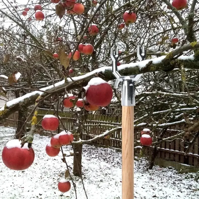 20pcs 알루미늄 Y 지점지지 브래킷 부식성 정원 스테이크 목발 과일 트리를위한