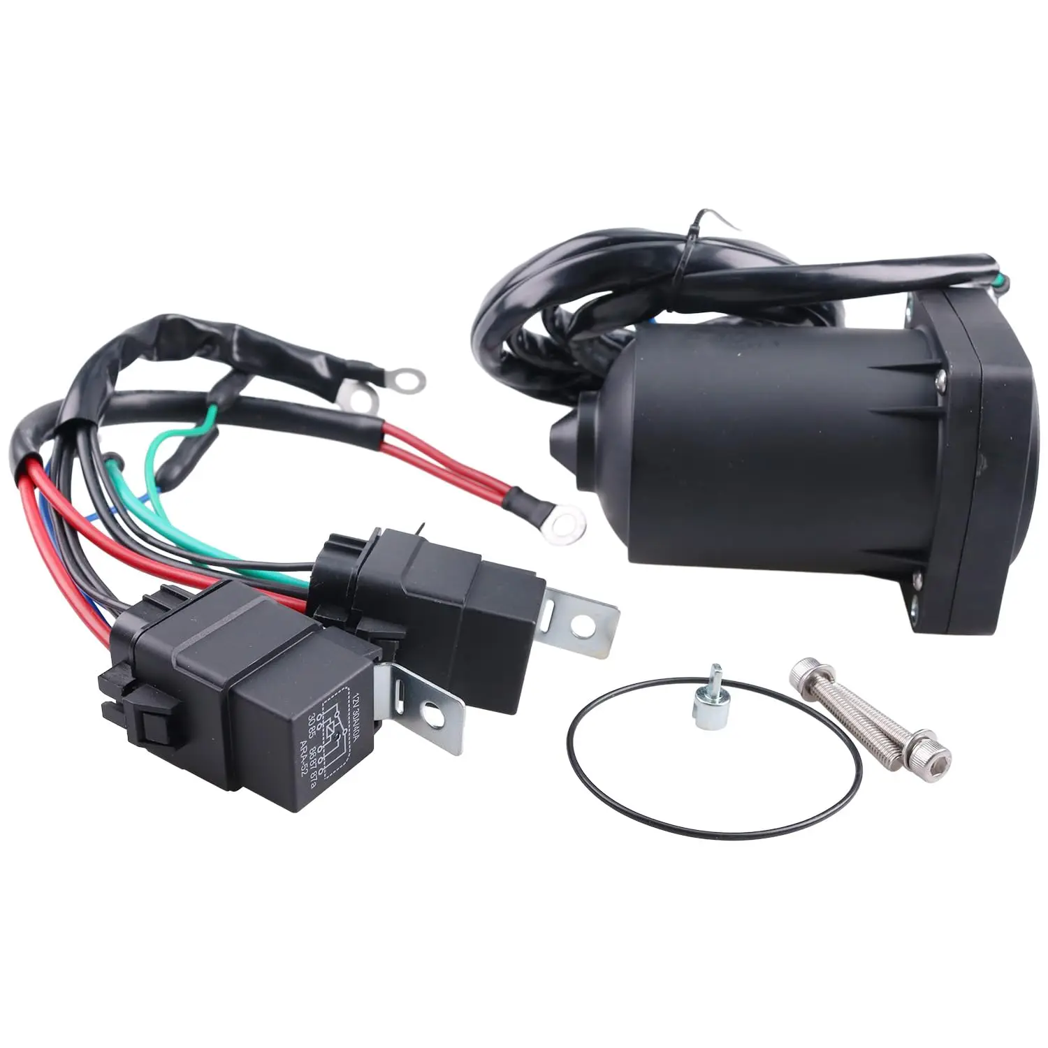 

Power Tilt Trim Motor 6AW-43880-01-00 2 Wire 2 Bolt Compatible with Yamaha F300 F350 Outboard 6AW438800100 6AW438800200 6AW-4388