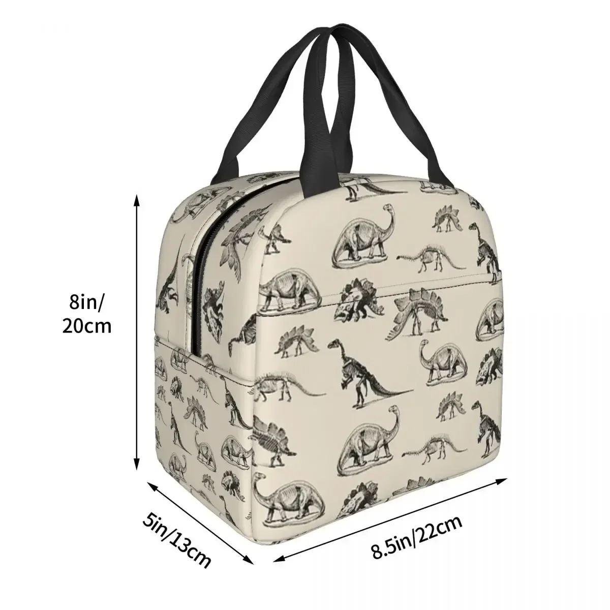 Vintage Museum Dinosaur Skeleton Illustrations Insulated Lunch Bags Waterproof Picnic Bags Lunch Tote for Woman Work Children