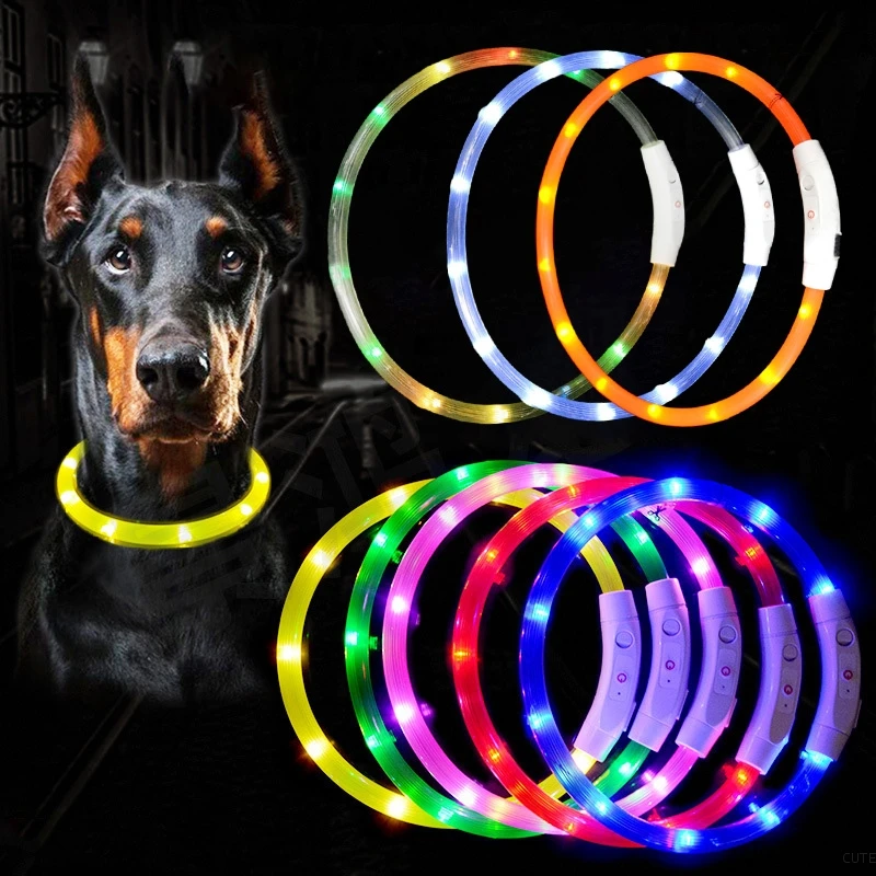 Collar LED para perro, Collar luminoso nocturno recargable por USB, Collar antipérdida para perro, collares brillantes parpadeantes de seguridad, suministros para mascotas perro