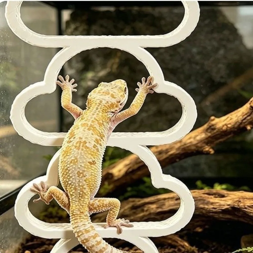 Hanging Reptile Climbing Ring Plastic Multi-Level 3-Ring Climber Cloud Shape Exercise Climbing Hoop Chain