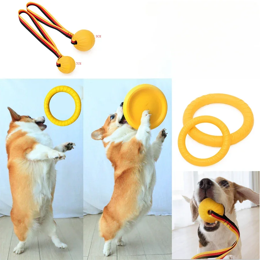 Jouet D'entraînement Pour Animaux De Compagnie, Balle Pour Chien, Degré De Morsure, Bouée À Eau En Caoutchouc Oligmousse