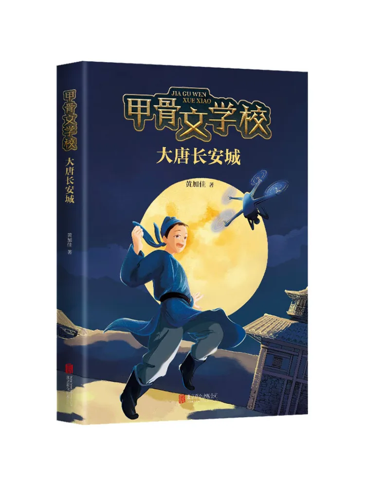 

Book-Winshare The Great City Of Chang'an in the Tang Dynasty