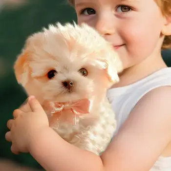 10 最佳銷售 機器狗 - №3