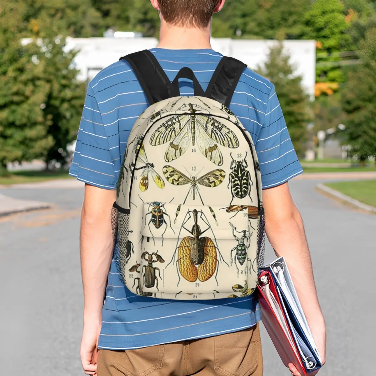 Vintage Insect Entomology Themed Backpack Student BookBag Children School Bag Laptop Shoulder Bags for Men Women
