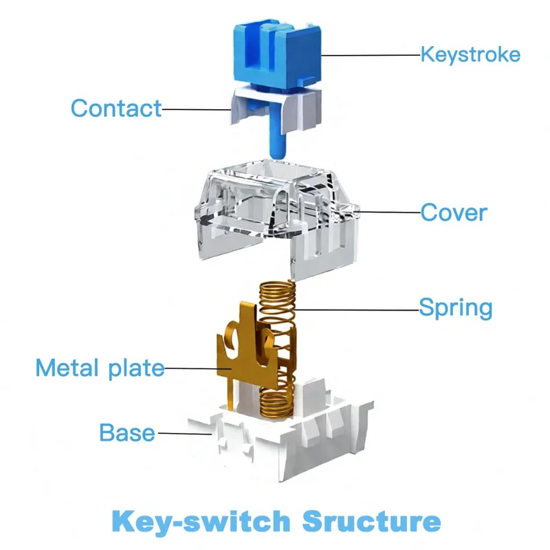 iTLY Mechanical Keyboard Replacement Blue Switches, 3 pin Clicky/50gf Accurate Typing/Dustproof switches - view 3