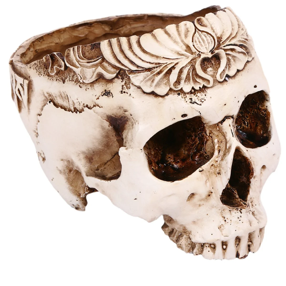 

A95I-смола череп кашпо цветок суккуленты горшок резной скелет цветочный горшок сахар кактус кашпо держатель горшков чаша для конфет