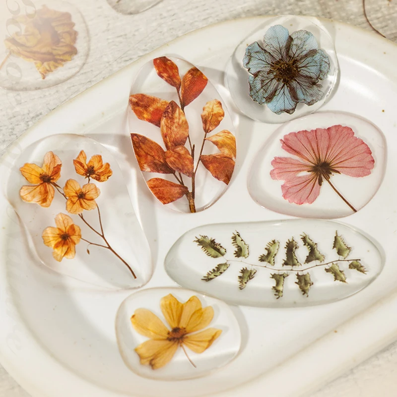 

Mr.Paper, простые 3D наклейки, 1 лист, сушеные цветы, капельный клей, прозрачные наклейки, справочники, скрапбуки, украшения своими руками, подарки