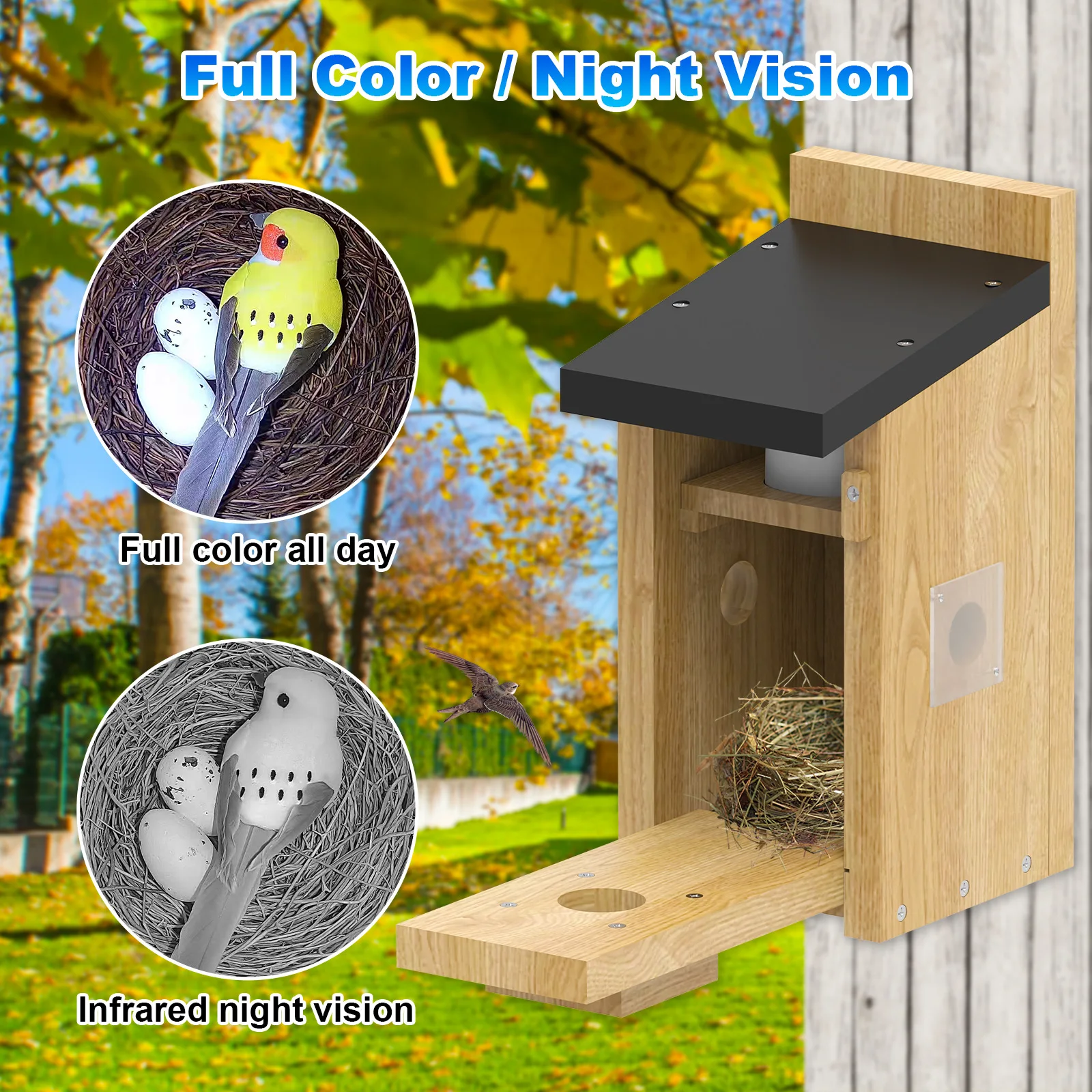 Factory Direct Smart Visible Bird House Bird Nest, Solar Low Power 5MP Battery  Bird Hatch House