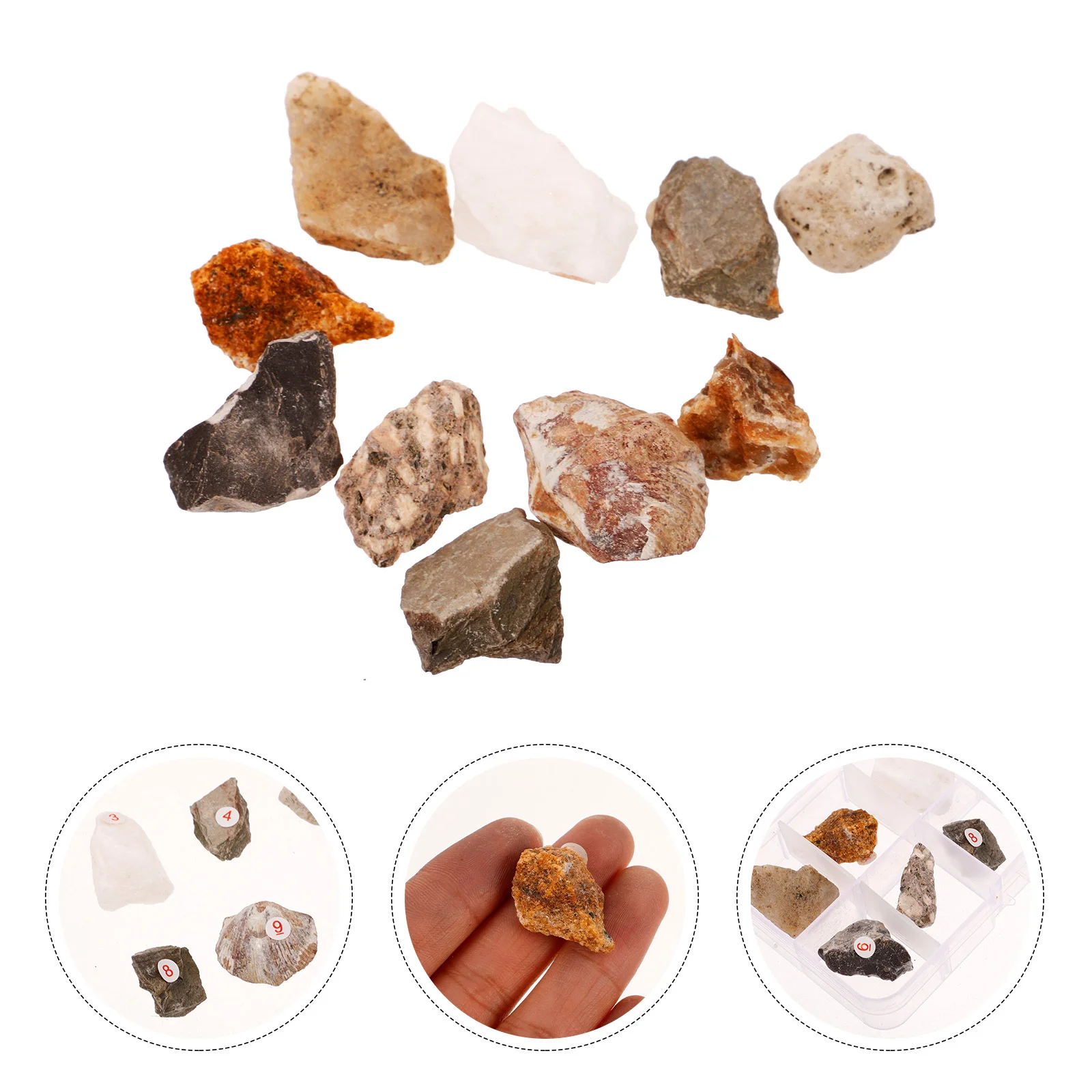 หินแร่ธรรมชาติ 10 ชิ้น สำหรับสะสม ตกแต่งโต๊ะทำงาน ของประดับตกแต่งบ้าน ใช้ในการสอน ศิลปะ และตกแต่งบ้าน