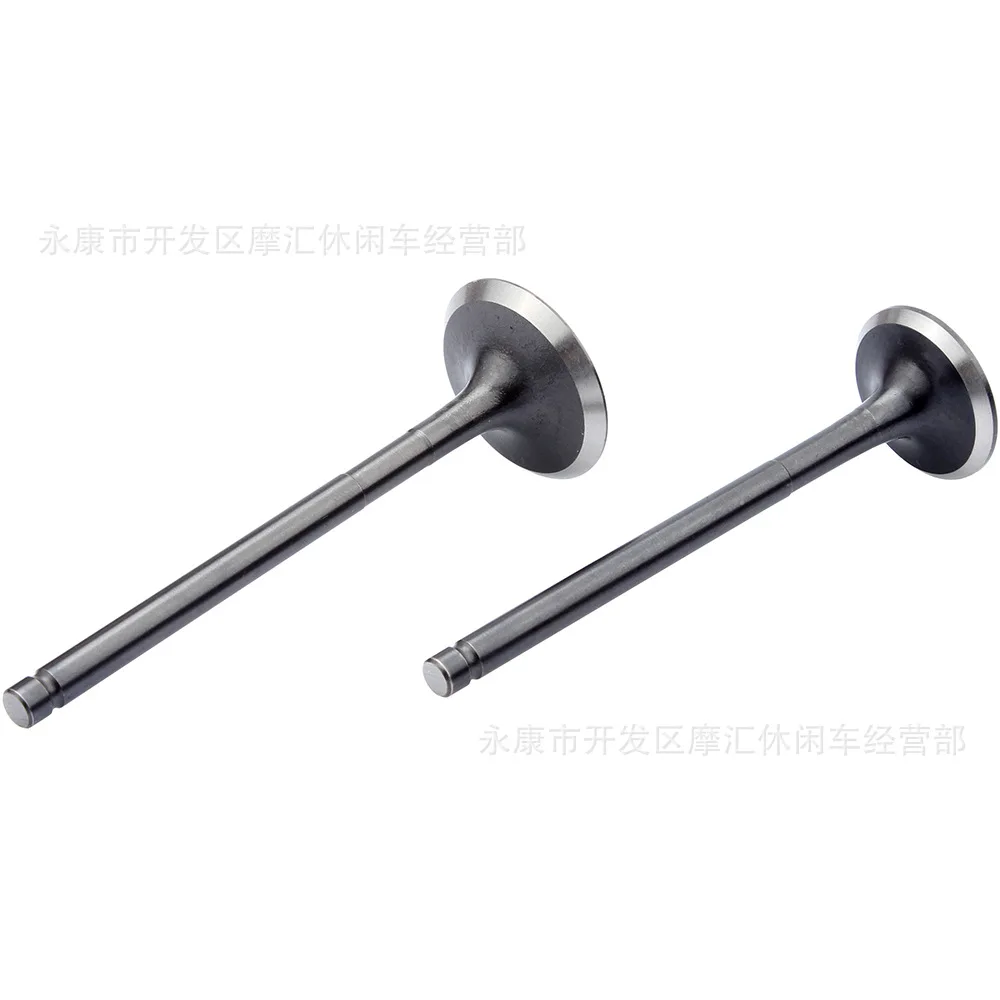 

Gy6 200cc Skateboard Assisted Kart Kart Valve Oil Seal Inlet and Outlet Cobalt Alloy Valve Assembly 81MM