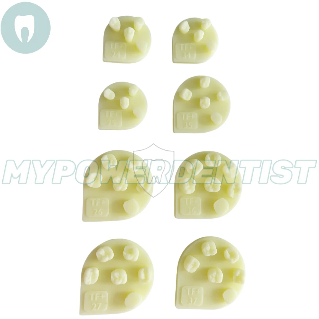 8Pcs Dental Composite Resin Filling Practice Molar Model Dentistry Student Test Model