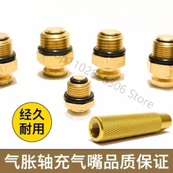 Inflation shaft inflation nozzle made of pure copper core air nozzle pointed flat head Air nozzle expansion shaft