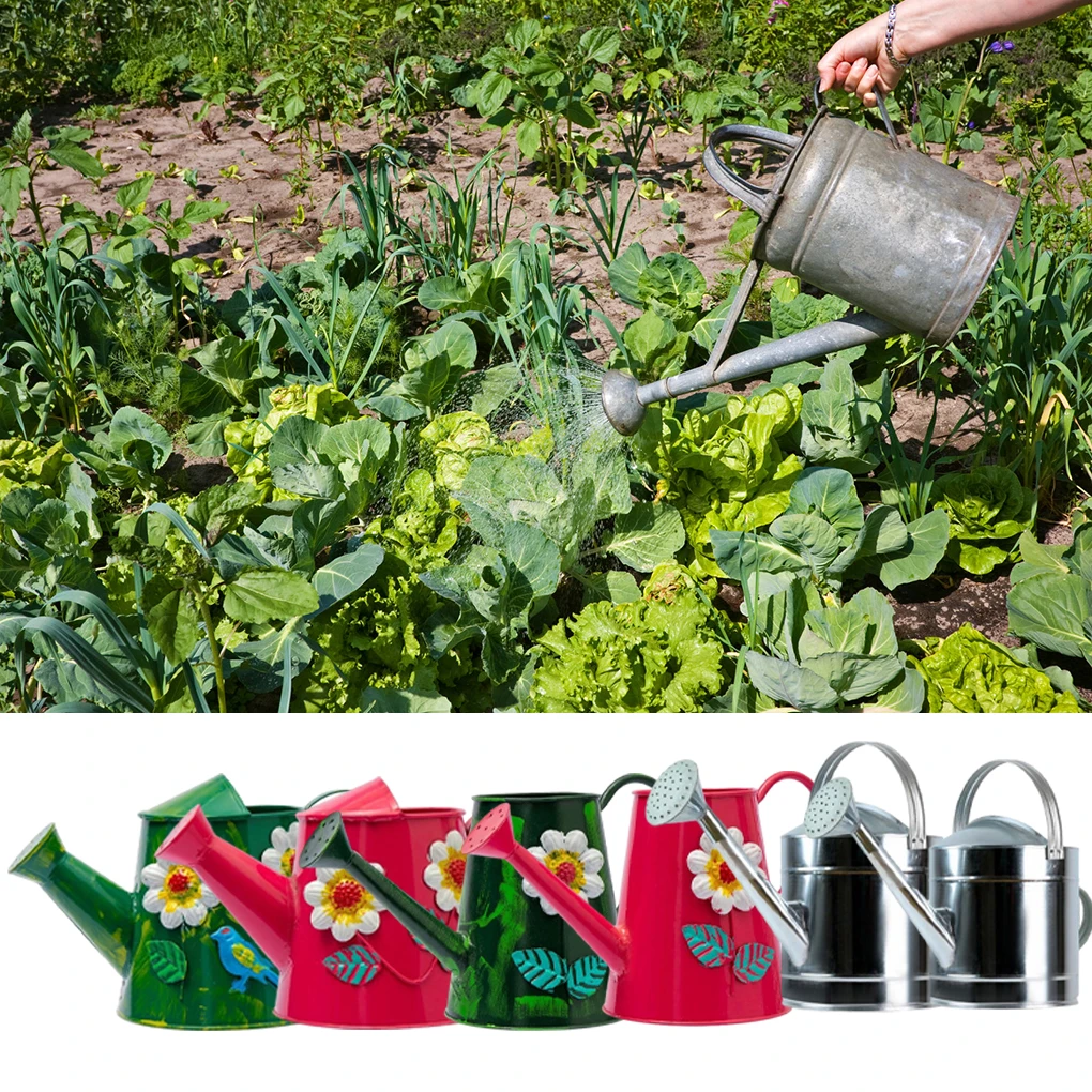 Metal Watering Can With Superior Sealing And Smooth Effluent For Effortless Use Watering Cans For The Garden Sprinkler