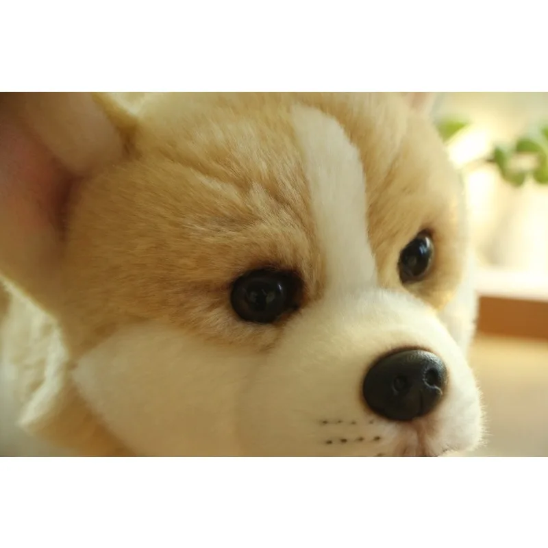 Peluche Corgi da 32 cm, Simpatico Cane di Simulazione, Giocattolo Morbido per Bambini, Regalo di Compleanno, Decorazione, Collezione, Brinquedos