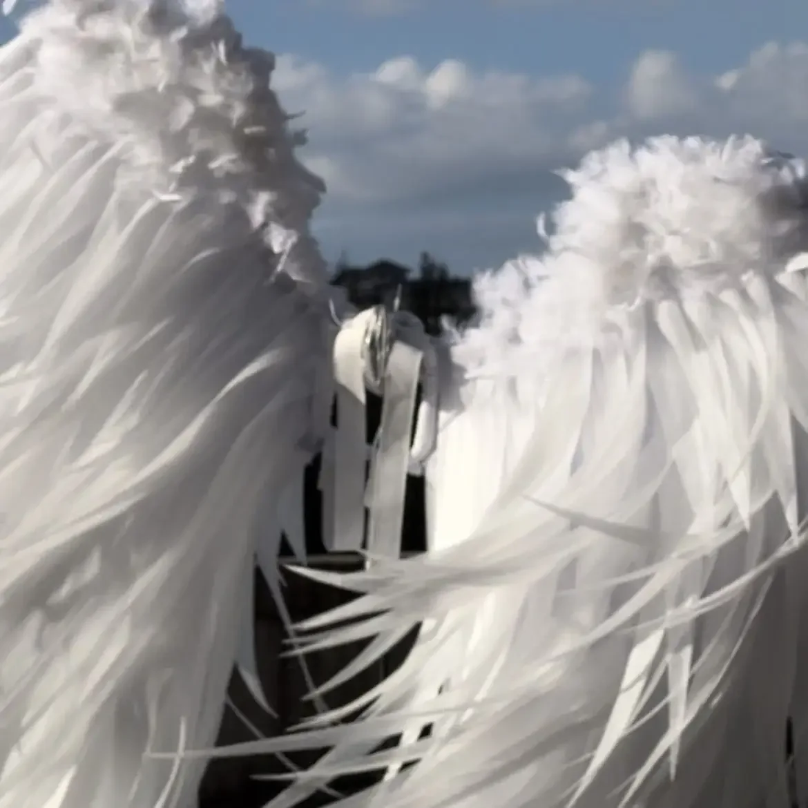 ใหม่ผู้ใหญ่สีขาวปีกขนนกฮาโลวีนรุ่น Catwalk เครื่องแต่งกาย Super Wings Nightclub Performance Props