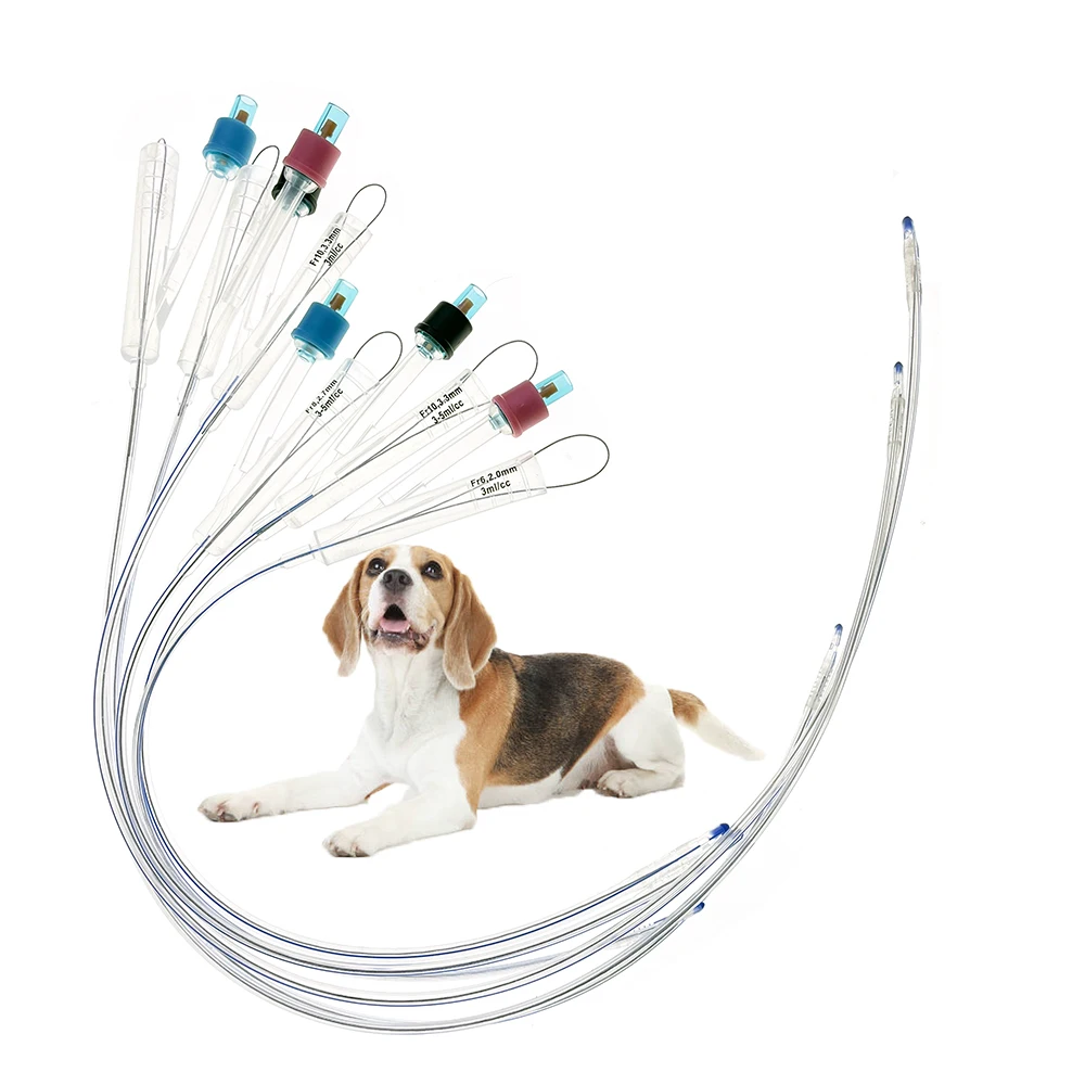 Canine Pet Dog With Metal SS Stylet Catheter Silicone Foley 2 Ways Self-retaining Long Time Placement Extend Length Clinic 6PCS