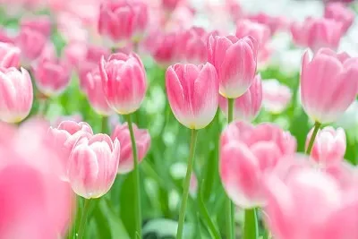 

Стальные шестерни для радиоуправляемых машин MJX Hyper Go 16207, 16208, 16209, 16210, 14207, 14208, 14209, 14210, масштаб 1/16, 1/14, запчасти и аксессуары для тюнинга