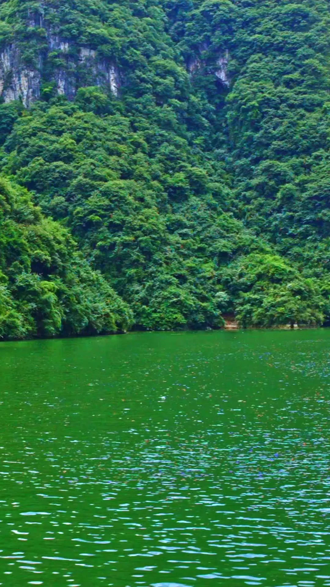 

3.5cm Elasticated Unisex Armbands Sleeve Garter Adjustable Gift Shirt Sleeve Holder Cufflink Business Wedding Groom Accessory