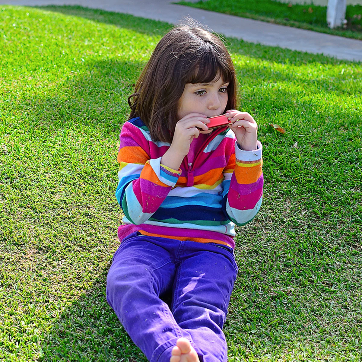 

2Pcs Double Row 4 Holes 8 Tone Harmonica Music Instrument Educational Music for Beginner Students (Red + Golden)