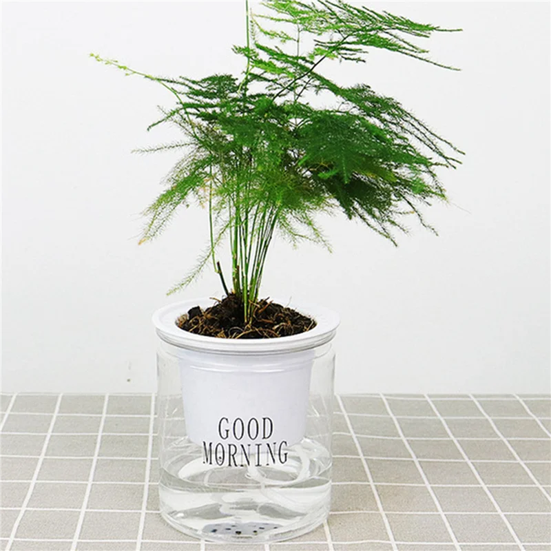 3X 自動散水植木鉢自動吸水多肉植物養殖透明ラウンドプラスチック水耕栽培-[Qahk]
