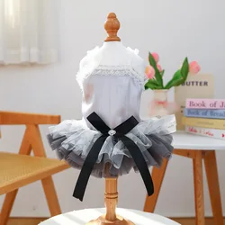 Vestido de encaje negro con lazo y tul para perro y gato fiesta
