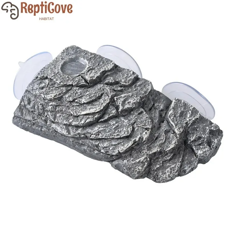 Floating Turtle Bas…